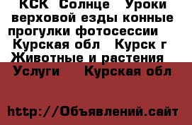 КСК “Солнце“. Уроки верховой езды,конные прогулки,фотосессии.  - Курская обл., Курск г. Животные и растения » Услуги   . Курская обл.